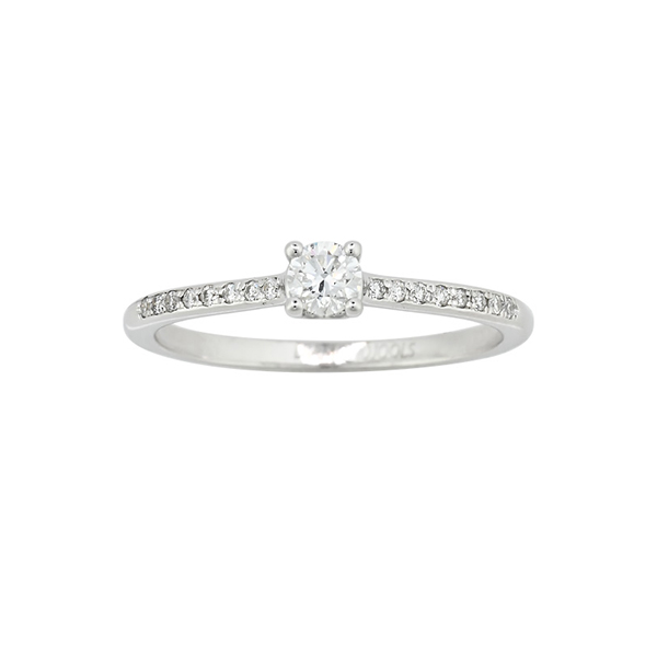 georgous-wedding-rings-tsaldari-stunning-propose_05